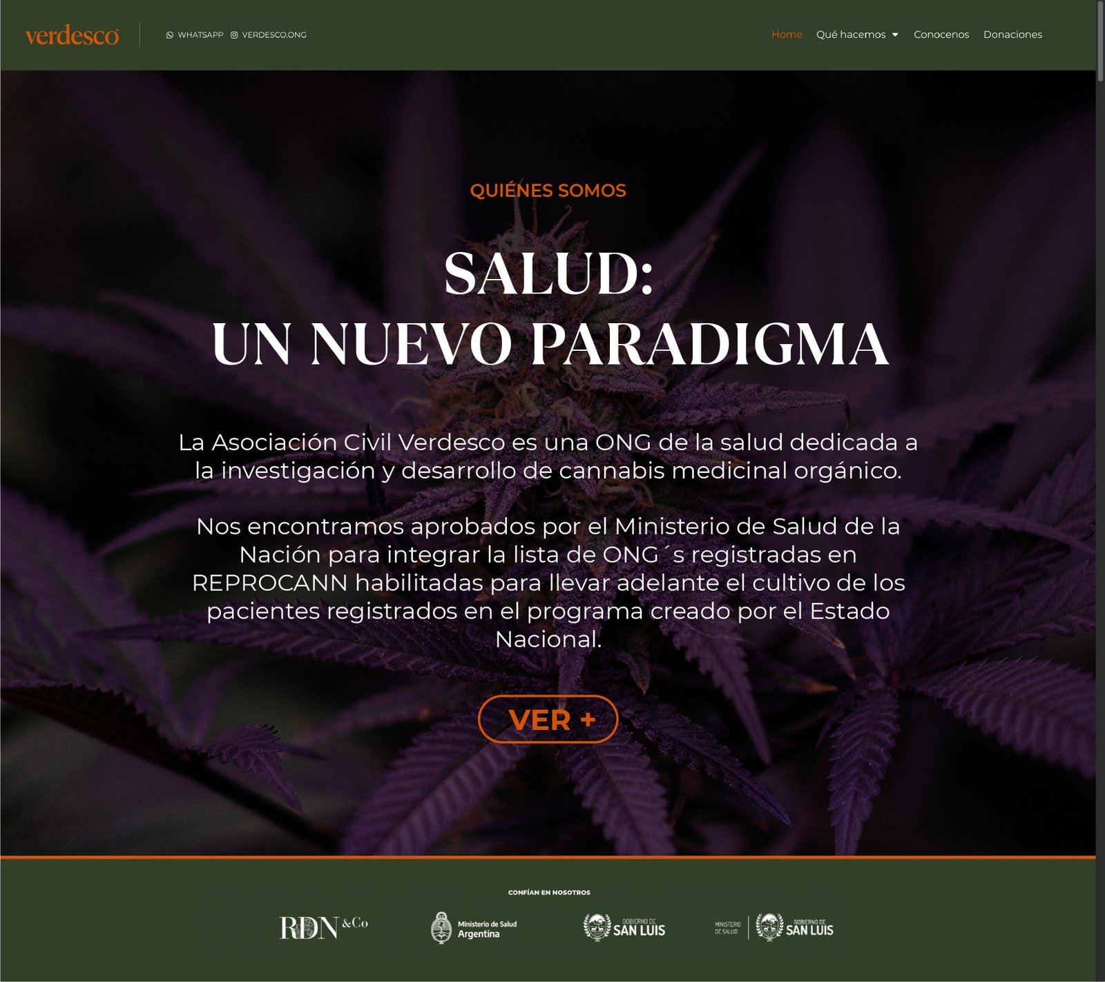 Website Homepage